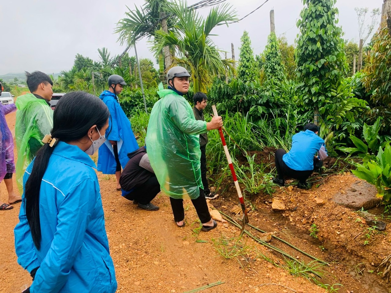 Trồng cây 2